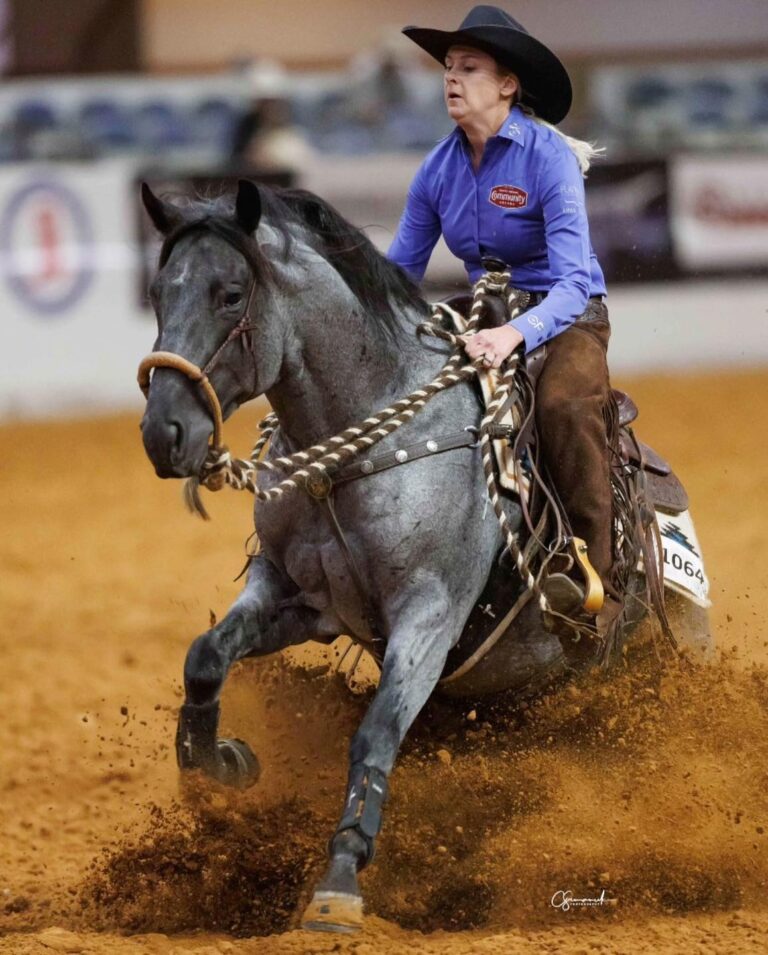 463833842 976329577868626 5463473794397278990 n 768x955