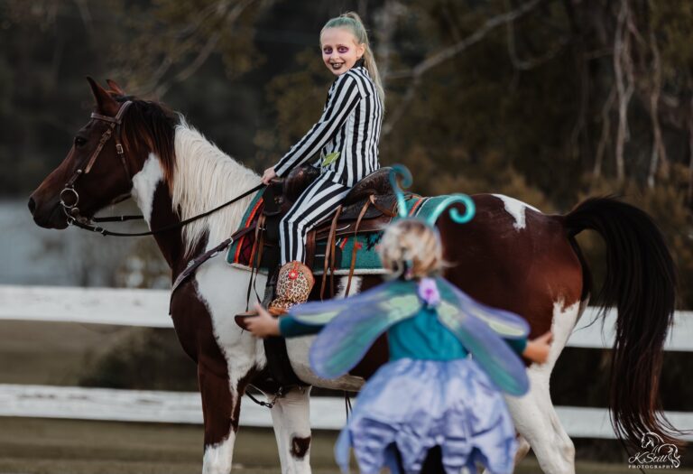 463898753 122158091900266521 372230632680529160 n 768x525