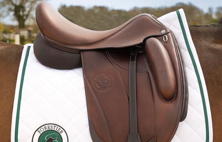 463962899 17963345570805650 6968979693018157511 n 768x494