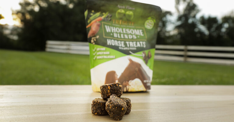 464011456 608860581465701 1593521547783597345 n 768x403