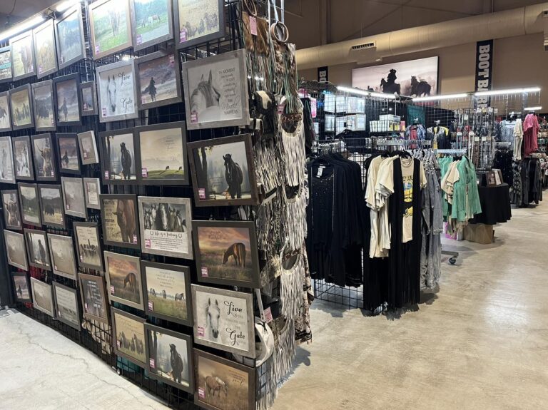 464186695 1008827321255625 2693954415022839248 n 768x575