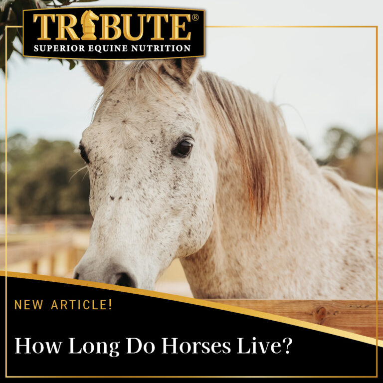 464379845 609431031408656 3812993507094950089 n 768x768