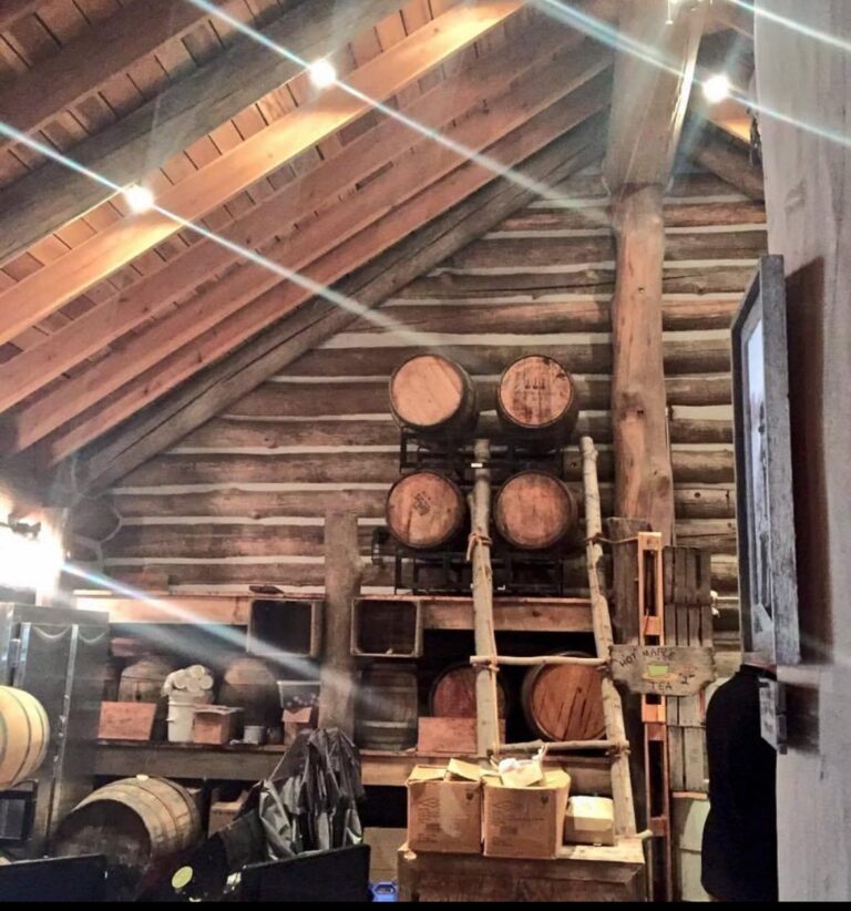 464769364 18469384765024617 3374732797598930134 n 768x822