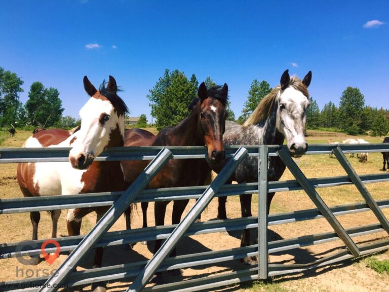 60910258 1181608728708217 8292738295524229120 n 768x576