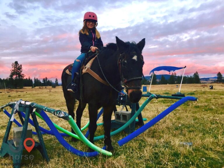 61142394 1181608352041588 6423407097664241664 n 768x576