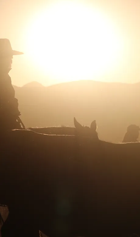 92ceac 0c3d4719ad6f4ef6a116b94f5dcda560mv2