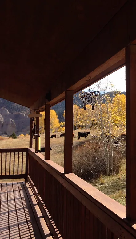 92ceac 650f820d8a22428498e32bb67ced7a37mv2