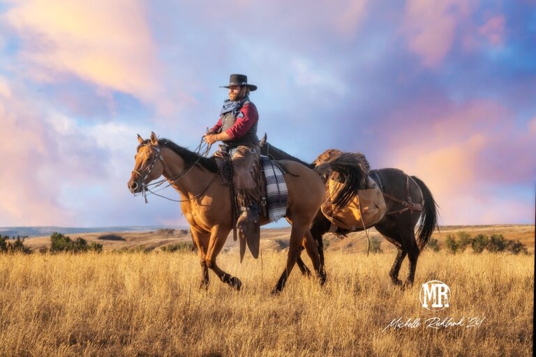 About You Photography 768x512