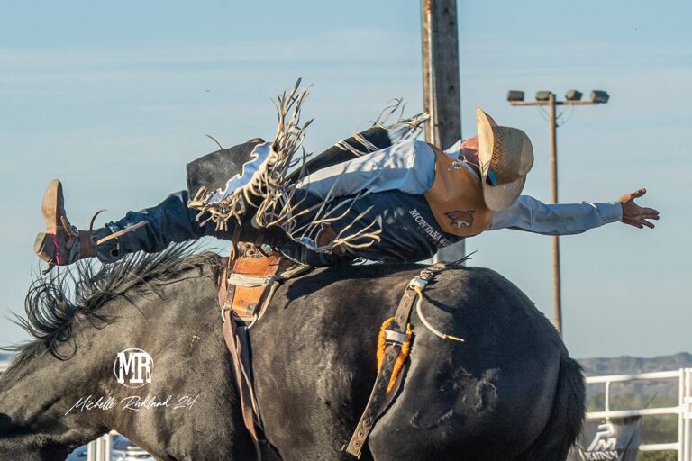 About You Photography1 1 768x512