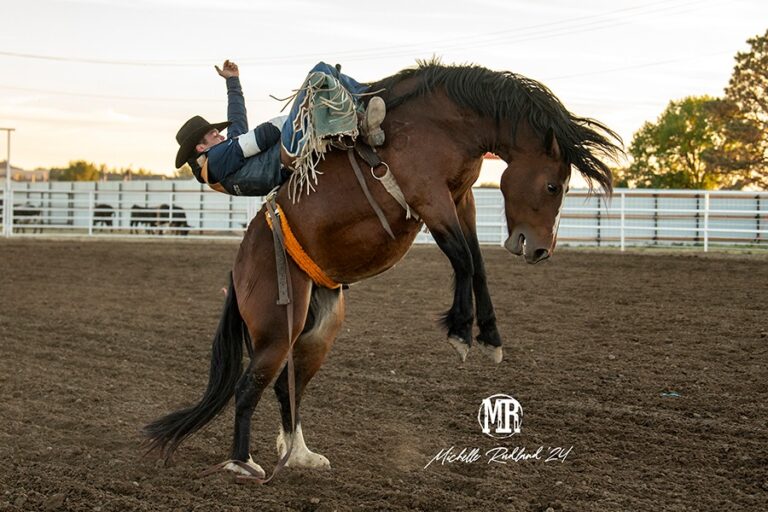 About You Photography2 1 768x512