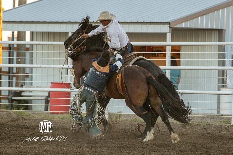 About You Photography3 1 768x512