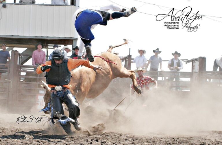 About You Photography3 768x501