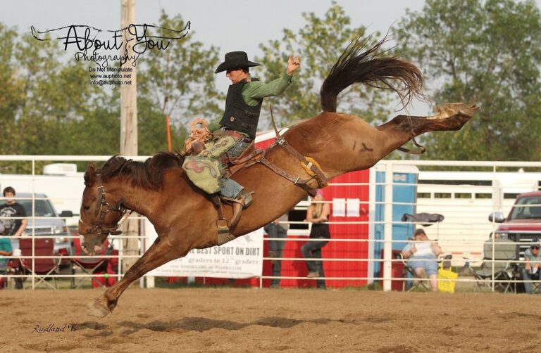 About You Photography5 768x502