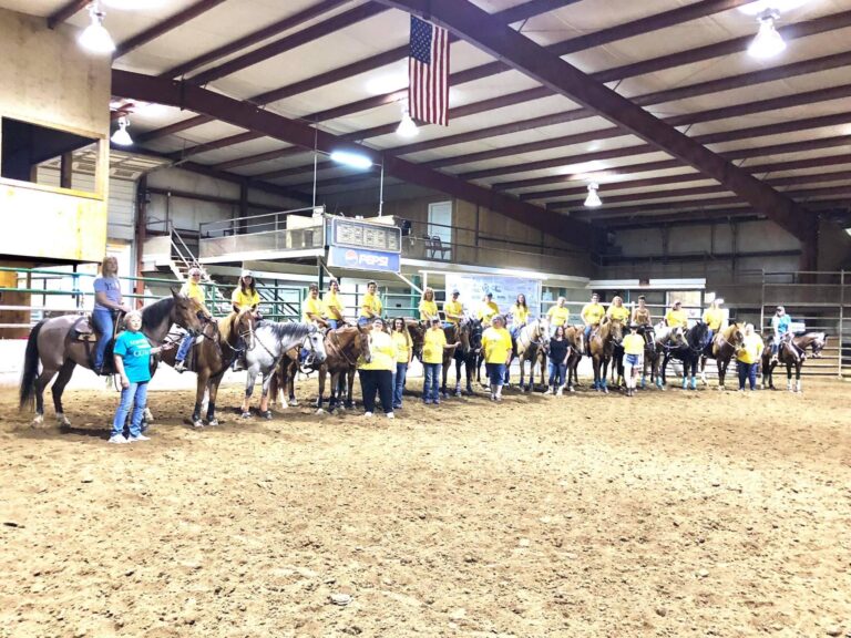 Academy of Holy Spirit led Equine Assisted Coaching4 768x576