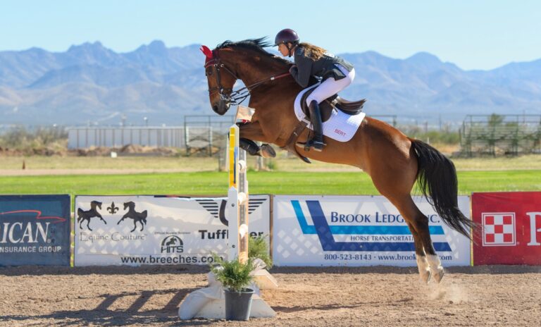 Blueberry Creek Stables3 768x464