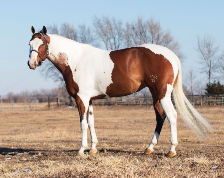 Cassie Z Photography2 768x612