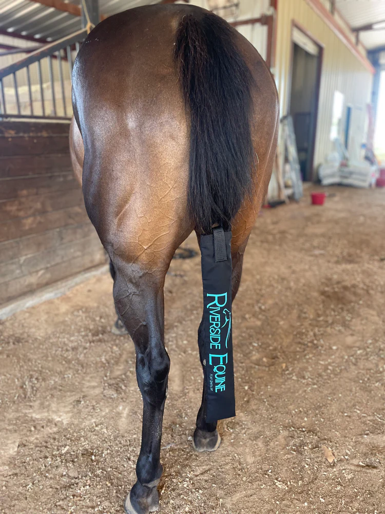 Classy Tails Co. Custom Tail Bags2