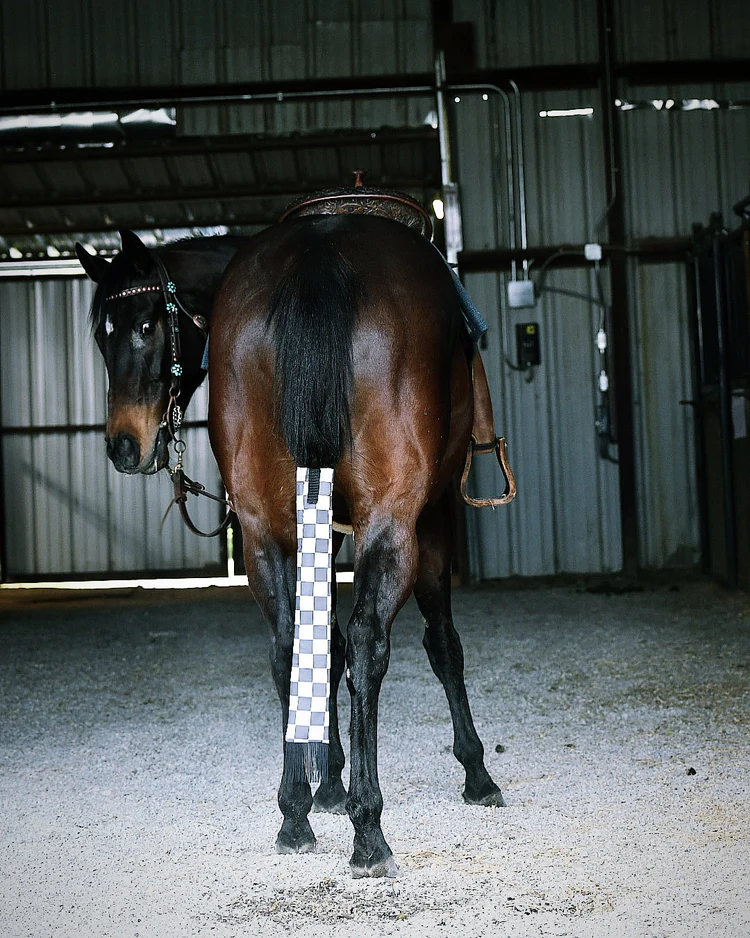 Classy Tails Co. Custom Tail Bags3