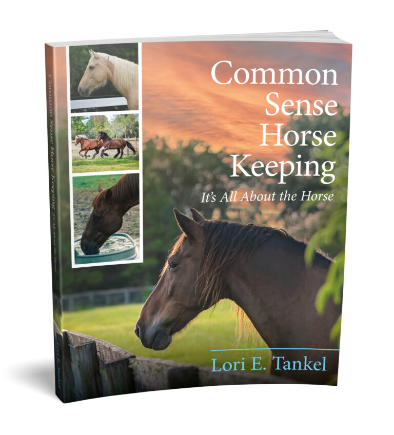 Common Sense Horse Keeping Cover 3D 768x848