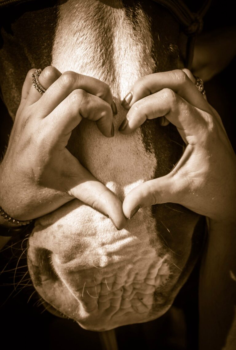 ConnEQction3 1 768x1140