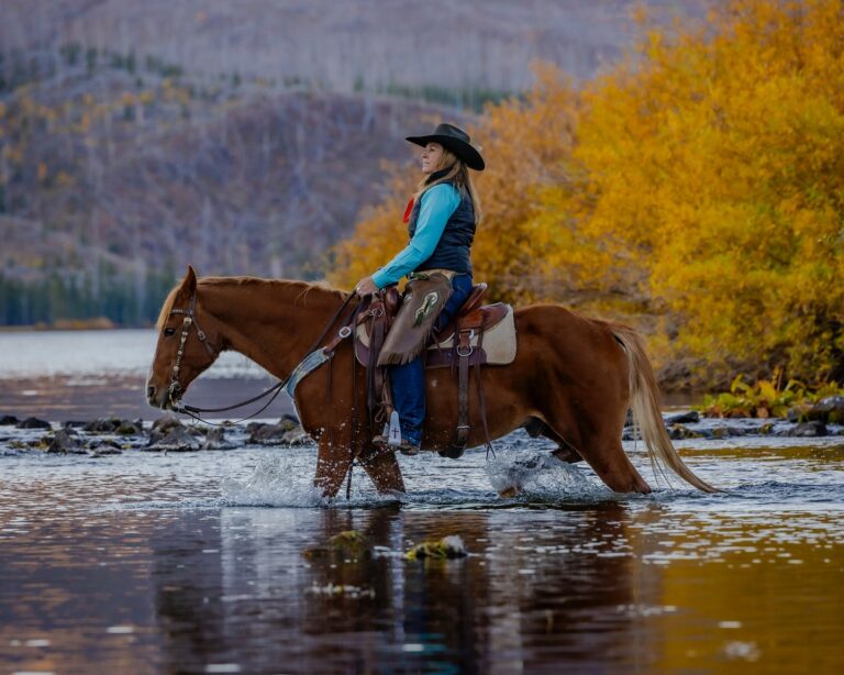Cowgirls With Cameras2 768x614
