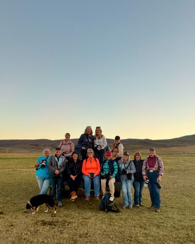 Cowgirls With Cameras3 768x960