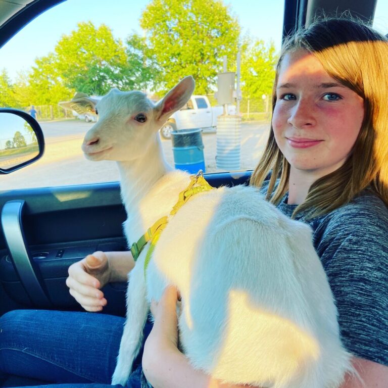 Crazy Goat Soap7 768x768