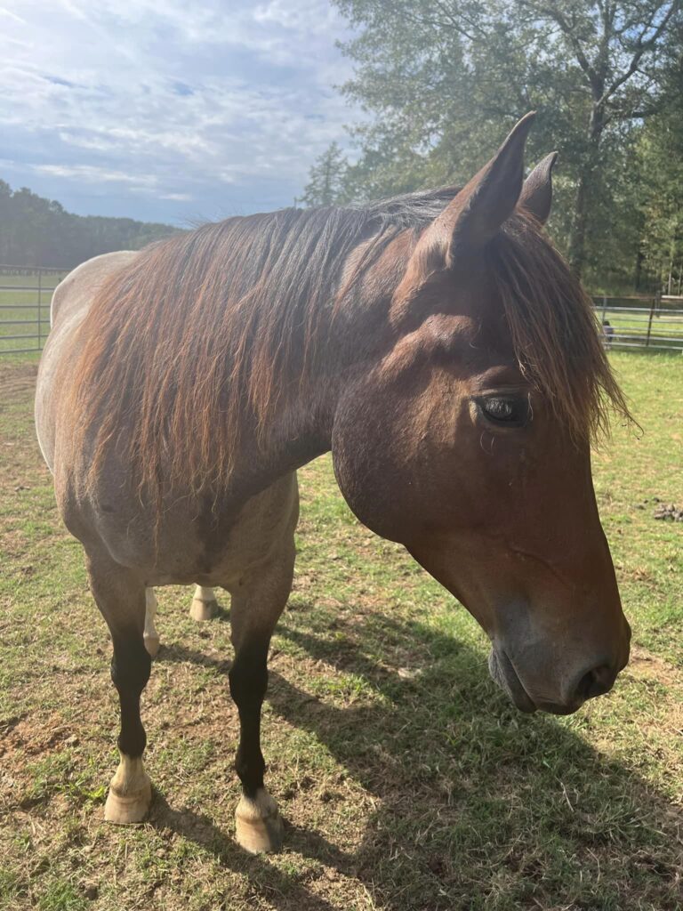 Fernwood Farms7 768x1024