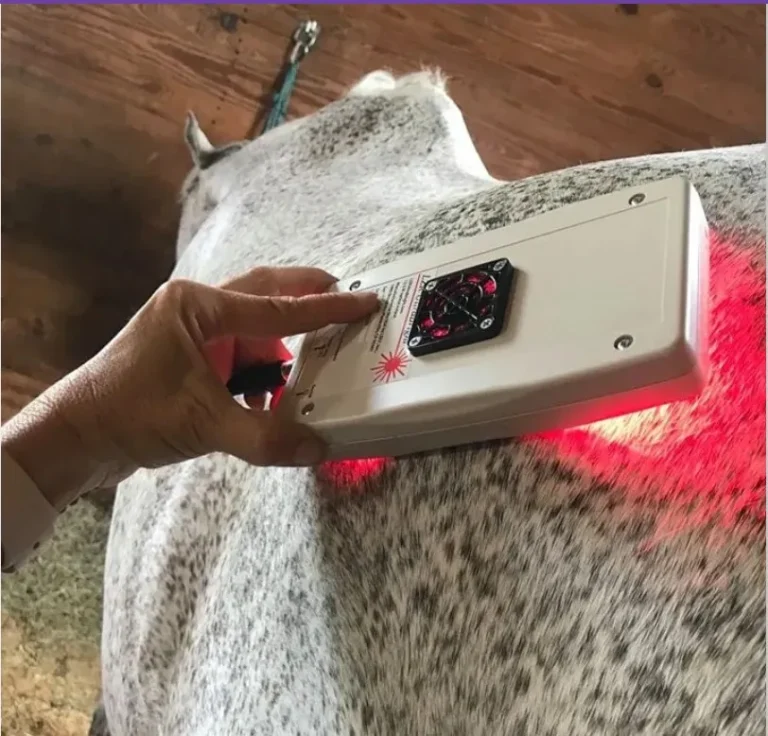 Glitter Cowgirl Equine Services3 768x736