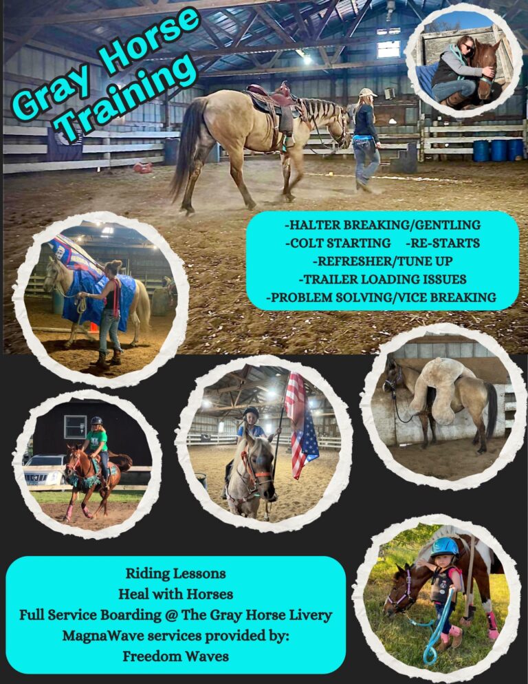 Gray Horse Training4 768x994