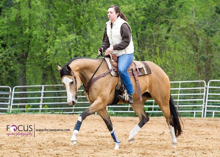 Miranda Allyn Horsemanship6 768x548