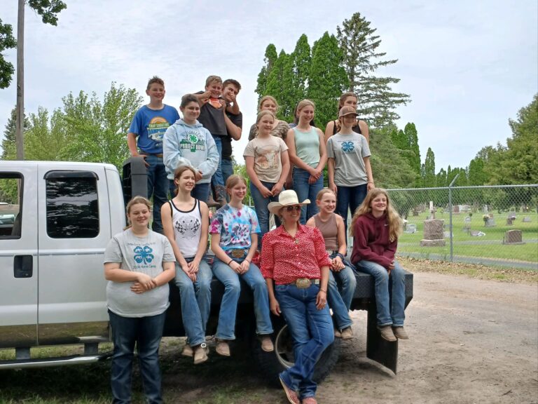 Never Stop Believing Performance Horses4 768x576