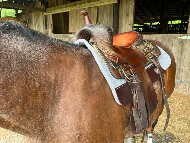 Riders Emporium3 768x576