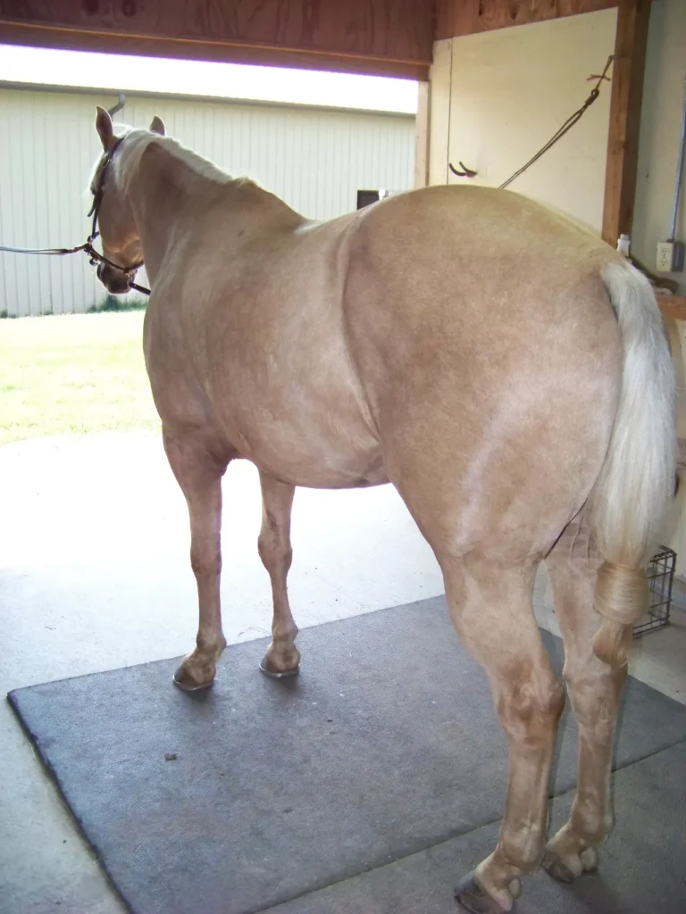 Riders Emporium5 768x1024