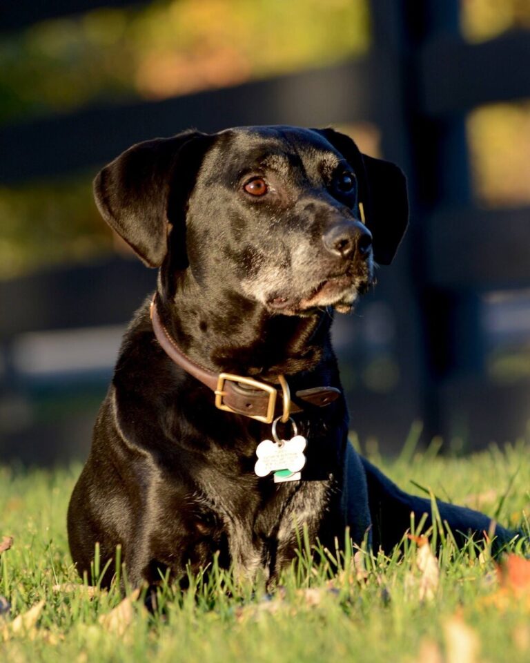 Sally Shaffer Photography3 768x960