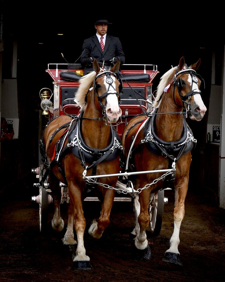 Sally Shaffer Photography6