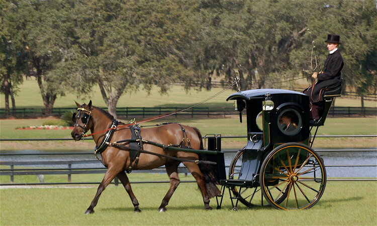 Sally Shaffer Photography7