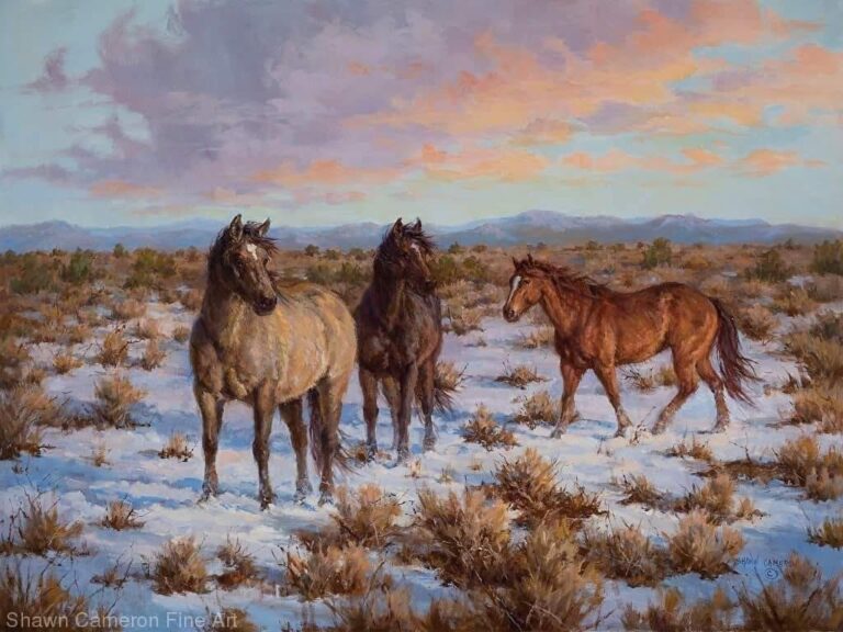 Shawn Cameron Fine Art2 768x576