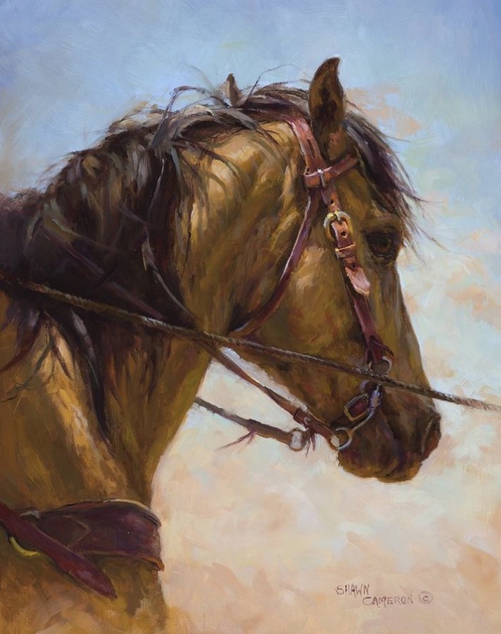 Shawn Cameron Fine Art6