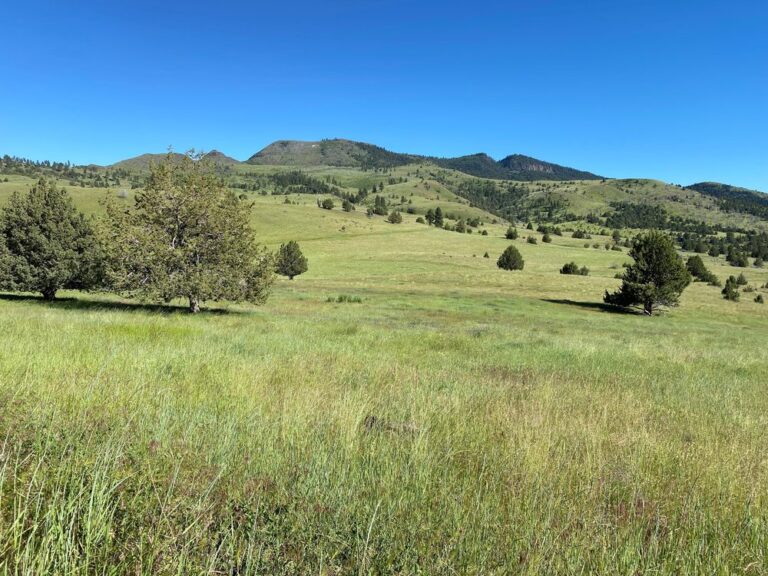 Six Shooter Ranch5 768x576