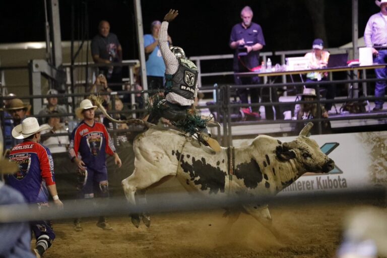 Subtly Wild Photo2 768x512