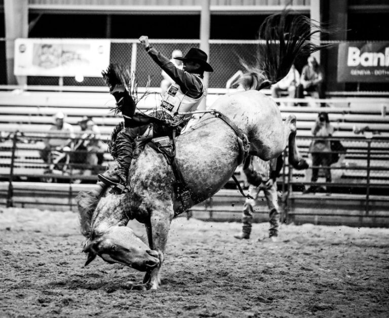 The Gritty Record4 768x628