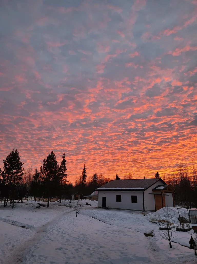 The Horse Barn Connection5 768x1029