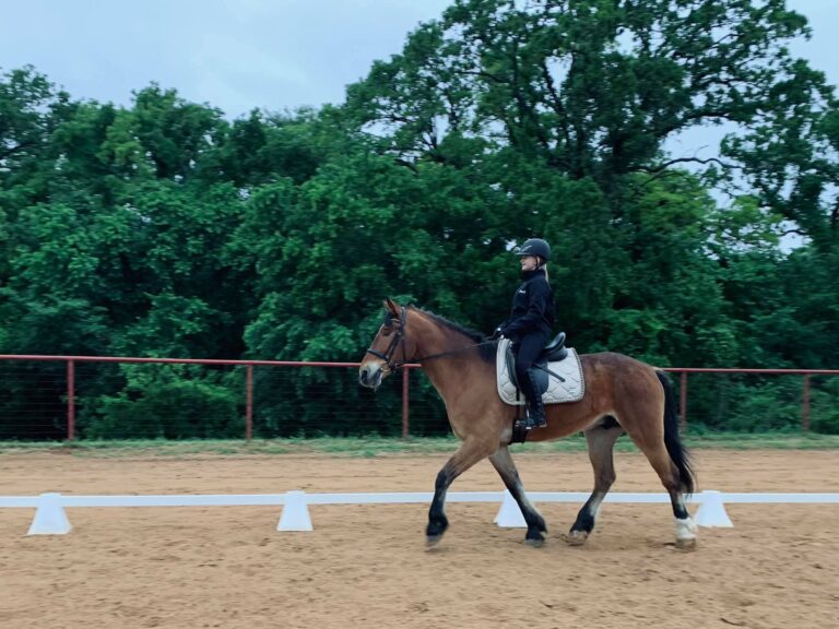 Vanhoozer Farm1 768x576