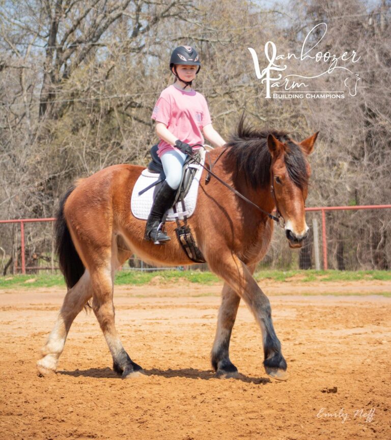 Vanhoozer Farm3 768x864