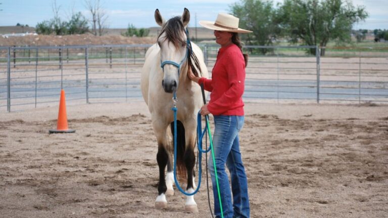 Western Horseman5 768x432