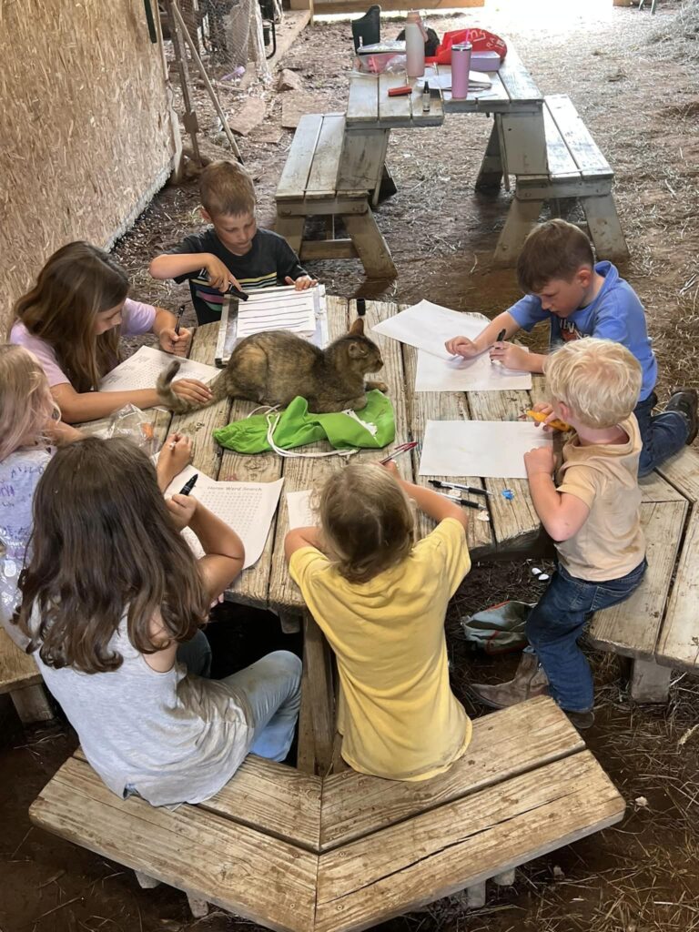 blackweater 1 768x1024