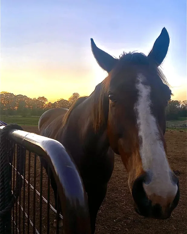 d1b8e7 a8f87c96072c4fb6b8412f571ab3b61amv2