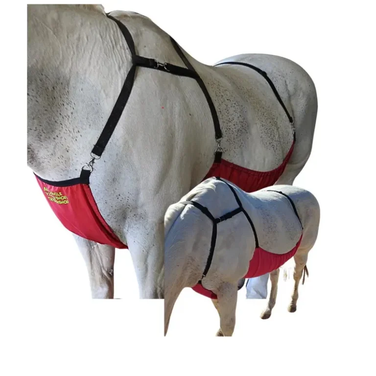 il 794xN.6251650432 ou0c 768x768