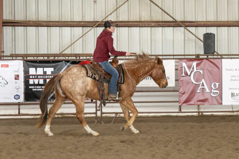 soncee riding bridless 768x512